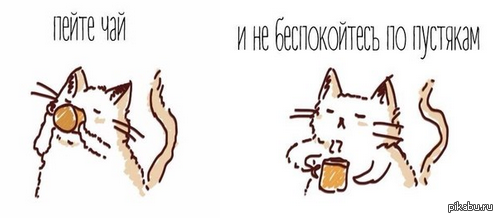 1442583742_1640148225.png