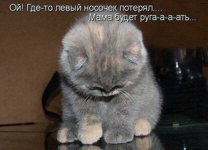 tmp_29878-zDUt8Vk6NSY766613107.jpg