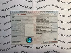 Спецтехника.jpg