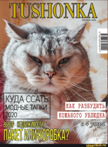 1603398069000.png