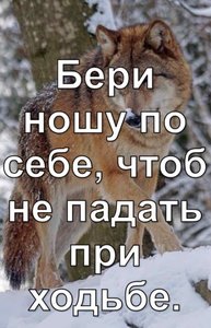 5D8A82BB-4559-4E54-88AA-498534CD6BC0.jpeg