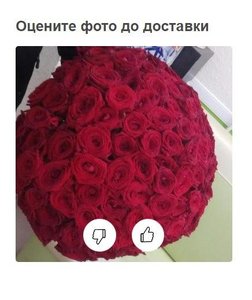 54е54пкпк.jpg