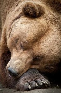 20201109_222257.jpg