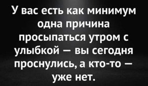 14880447.jpg