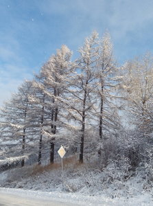 IMG_20201111_110144.jpg