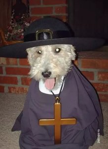 20201111_122358.jpg