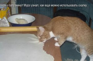 20201112_220546.jpg