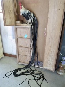 IMG_20201126_223635_014.jpg