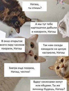 285439_original.jpg