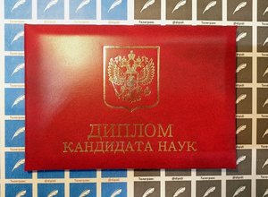 Диплом кандидата наук 2001 Корки.jpg