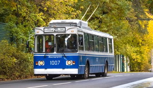 11795img1.jpg