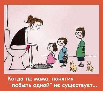 29553110-1438337528.jpeg