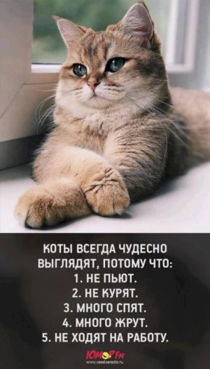1623073817600.png 1623073817600.png