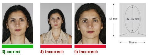 6.png