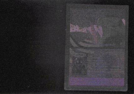 8.png