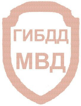 ГИБДД МВД.jpg