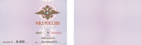 МВД РОССИИ.jpg