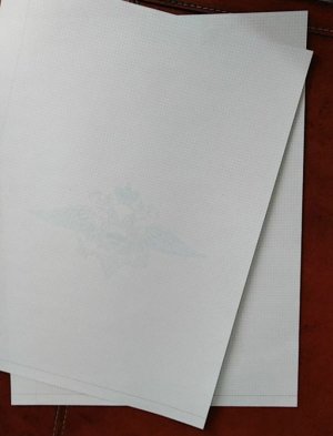 Справка о судимости.jpg