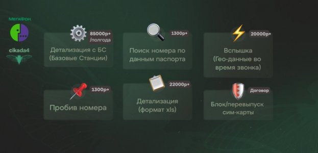 мега.jpg
