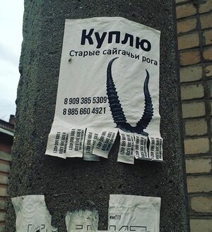 image.jpeg image.jpeg