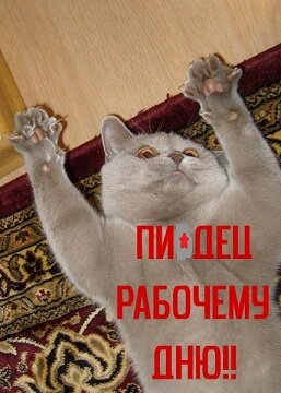 1348173322_2.jpg