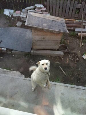 photo_2016-07-14_21-14-17.jpg