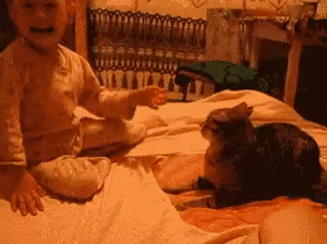 IMG_20160716_203828_13.gif