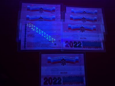 IMG_5728.JPG
