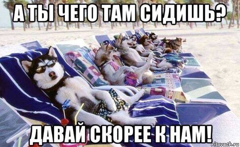 image.jpeg