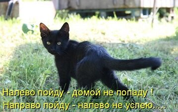 kotomatrix_30 (1).jpg