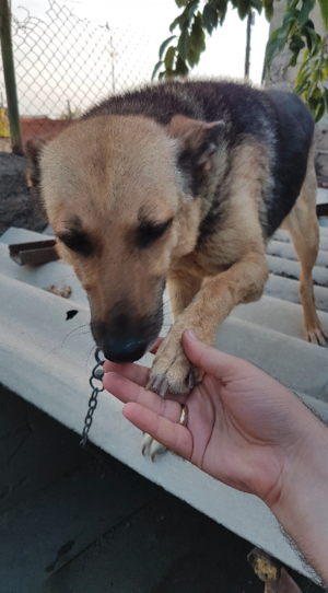 Снимок экрана от 2016-08-04 17:01:09.png