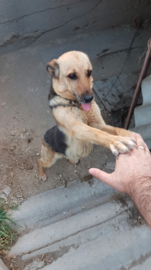 Снимок экрана от 2016-08-04 17:00:51.png