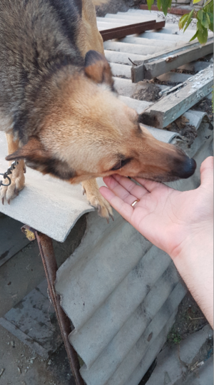 Снимок экрана от 2016-08-04 17:00:29.png