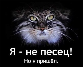 20110612084031.jpg