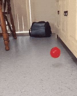 image.gif