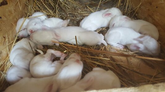 IMG-20160730-WA0004.jpeg