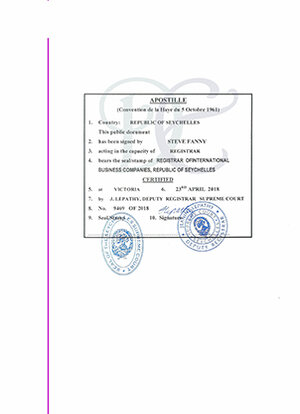 Example_SC_Сertificate of official search with apostille - 0002 - 0002.jpg
