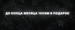 6.gif