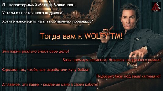 баннер WOLFY TM.jpg