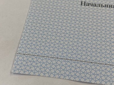 IMG_2802 — крупный размер — крупный размер.jpeg