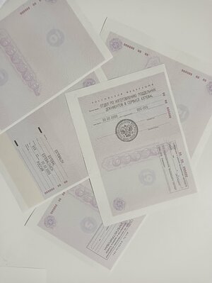 IMG20221031063153.jpg IMG20221031063153.jpg