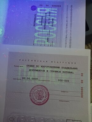 IMG20221030201519.jpg IMG20221030201519.jpg