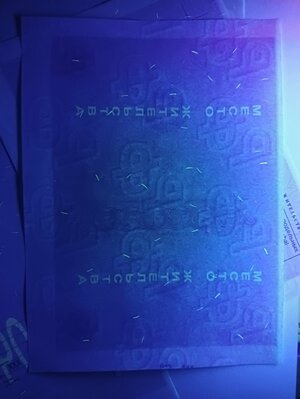 IMG20221031065101.jpg IMG20221031065101.jpg