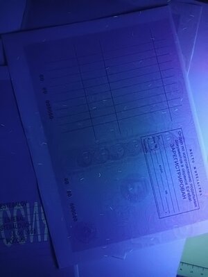 IMG20221031065016.jpg IMG20221031065016.jpg