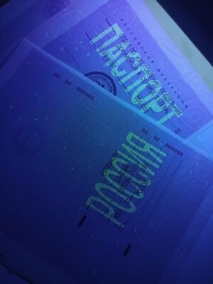 IMG20221031064951.jpg IMG20221031064951.jpg