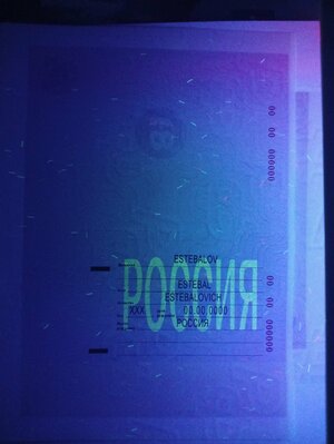 IMG20221031064812.jpg IMG20221031064812.jpg