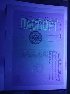 IMG20221031064749.jpg IMG20221031064749.jpg