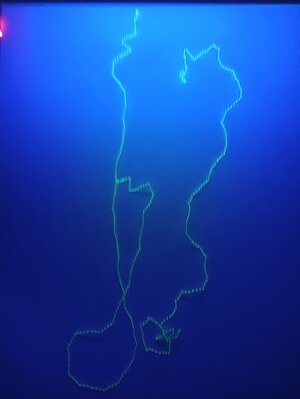 IMG20221031064432.jpg IMG20221031064432.jpg