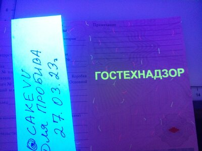 505442E9-2CF1-4468-A37E-5776AACEF501.jpeg