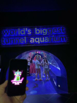 IMG_20230618_153215_869.jpg
